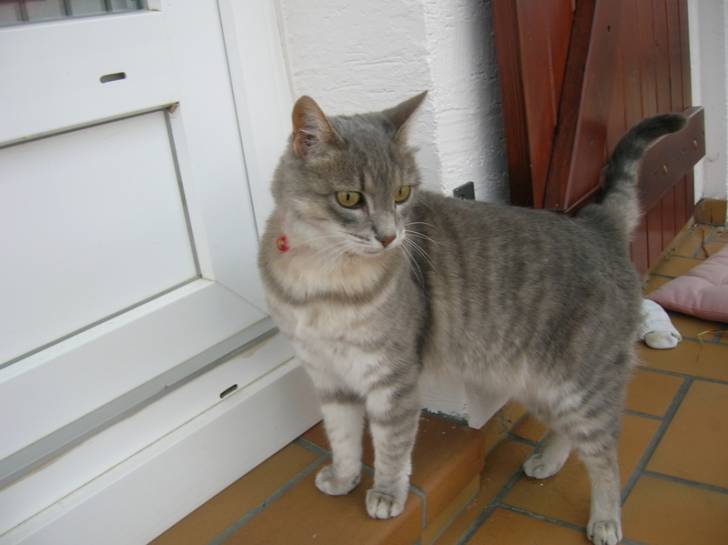 Minette - (9 ans)