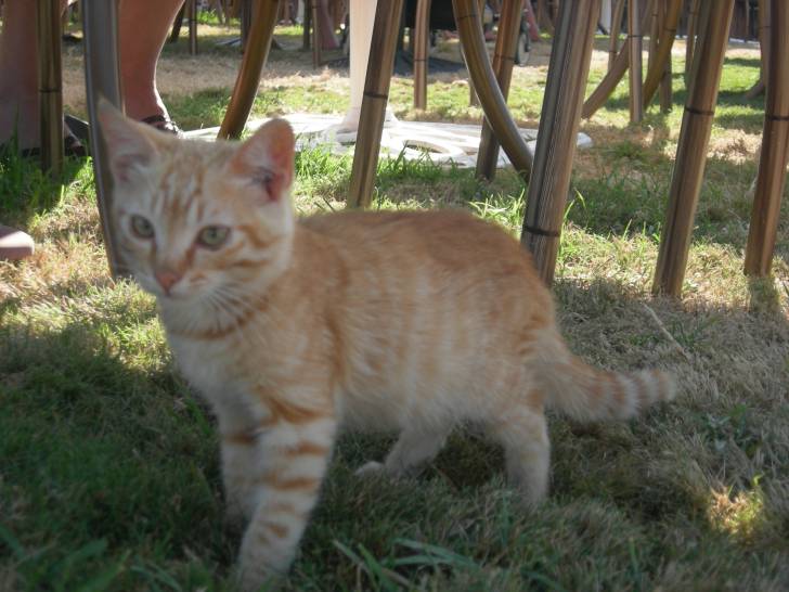 carla - (1 mois)
