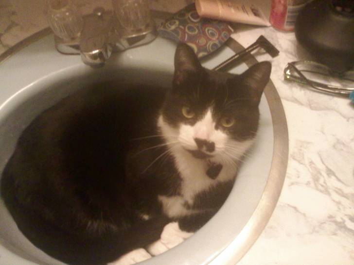 Boots - Mâle (3 ans)