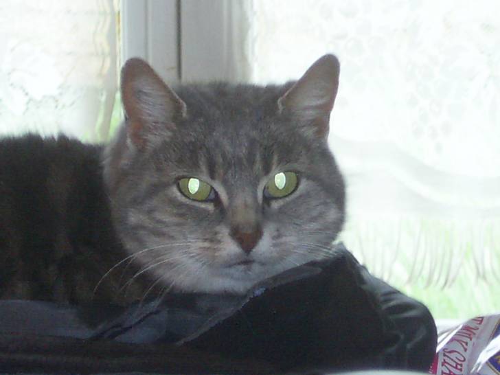 choupette - (12 ans)