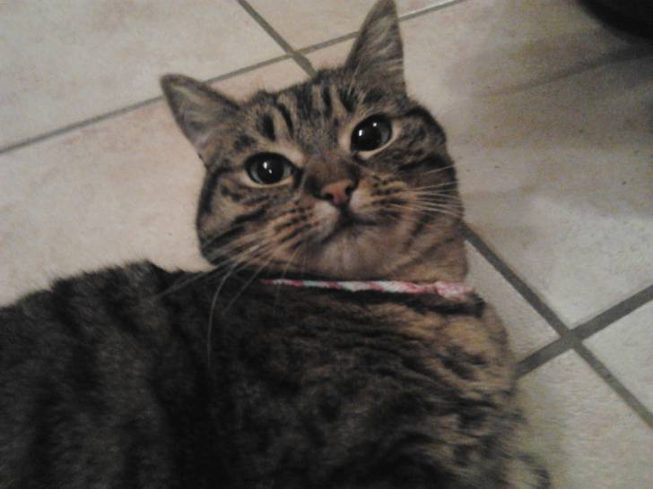 Peluche (ma débile x) ) - (3 ans)