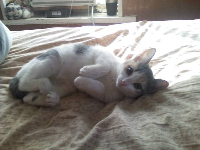 Mia - (2 ans)