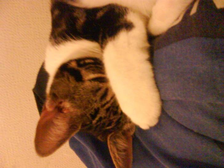 ruby - (9 mois)
