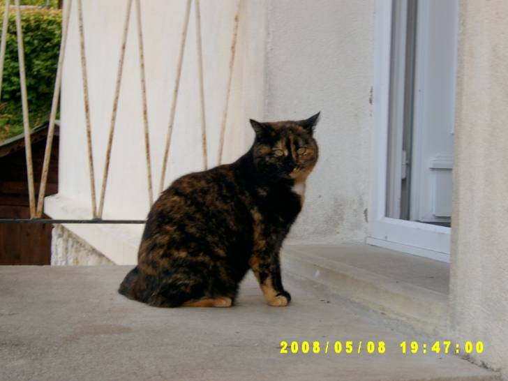 oural - (5 ans)