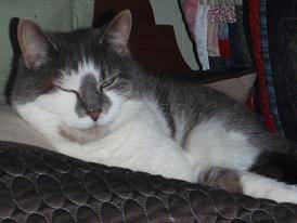 Cody Girl - (12 ans)