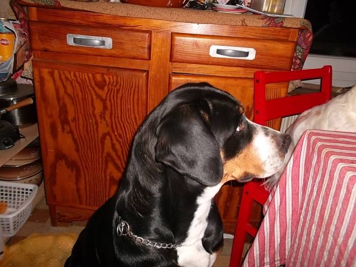 Debbie des chevalier du zodiaques. - (4 ans)