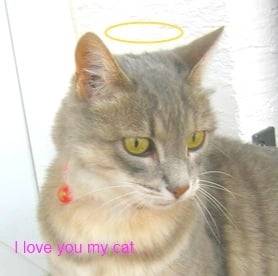 Minette - (9 ans)