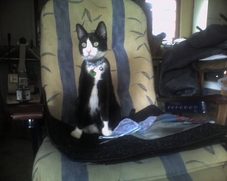 Betty - (6 ans)
