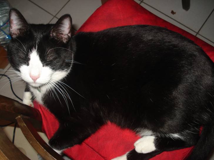 Ma Betty - (6 ans)