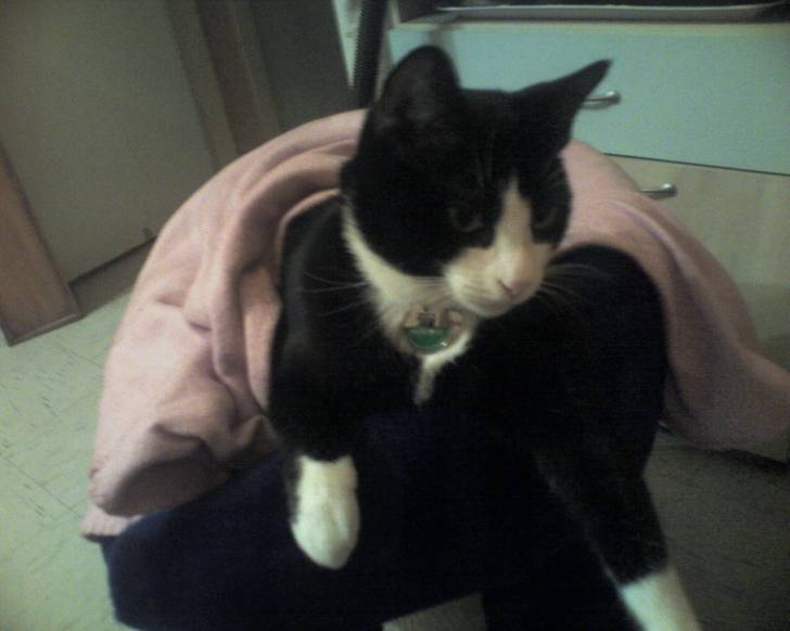 Ma Betty 1 - (6 ans)