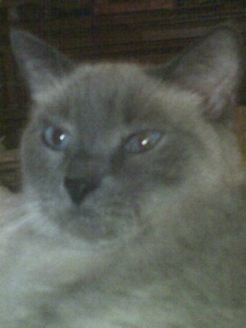 skysky - (13 ans)