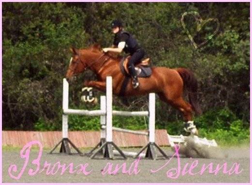 Tennessee Red - (11 ans)