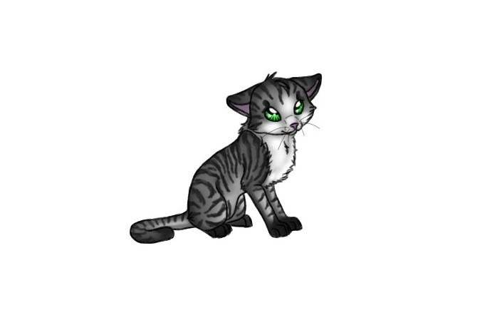 This is a cartoon charicherized version of one of my cats - Mâle (1 an)