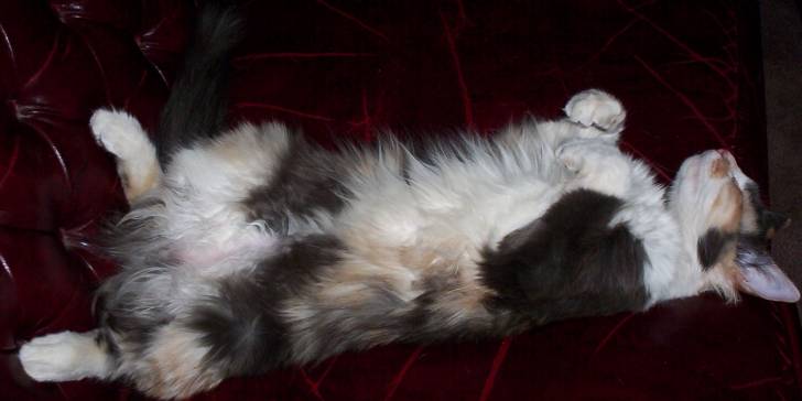 Keiko - (2 ans)
