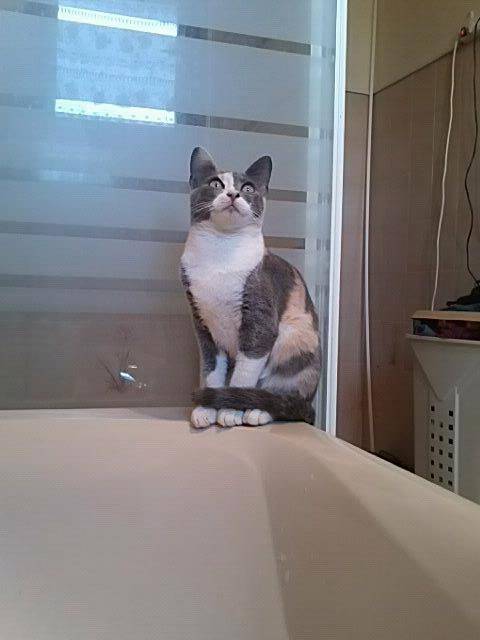 Monia -
