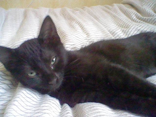 Ninou - (2 ans)