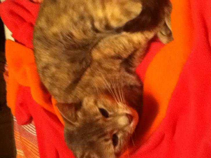Peaches - (4 ans)