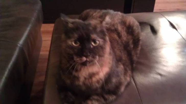 MOLLY - (2 ans)