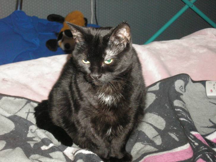 Mittens - (14 ans)