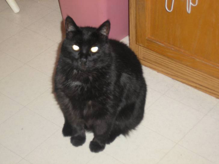 Moonlight - Mâle (21 ans)