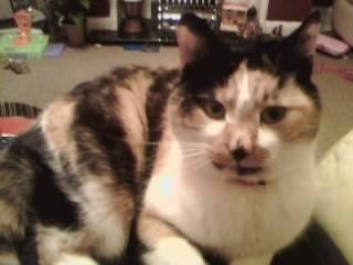Bubbles - (13 ans)