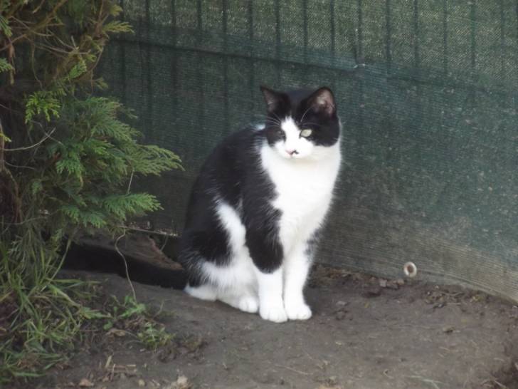 Stella - (2 ans)