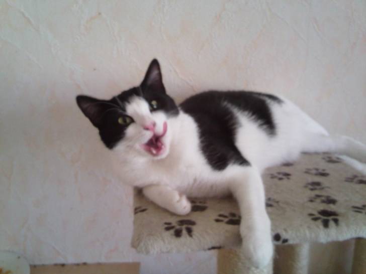 Rine - (2 ans)