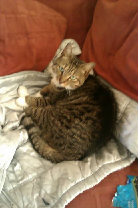 Mimi - (2 ans)