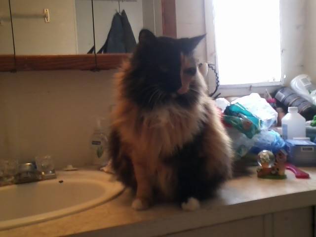 Lucy - (8 ans)