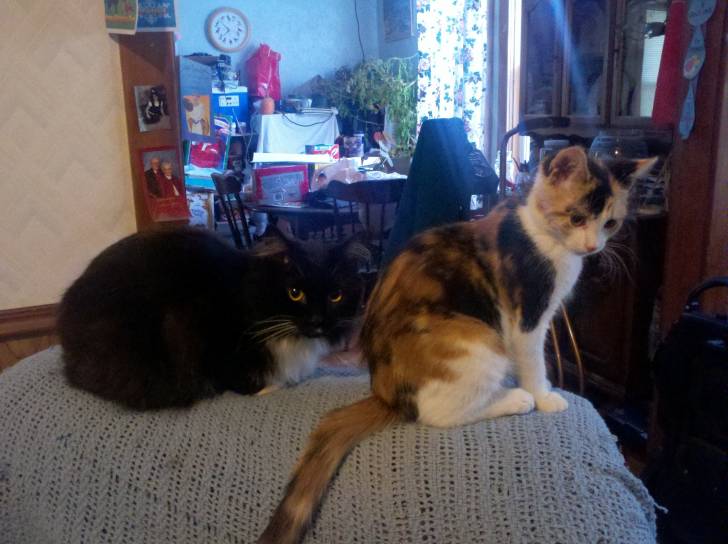 sammy and autum -