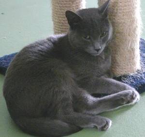 Capucine - (3 ans)