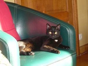 Freya - (1 an)