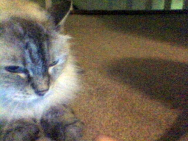 Freya - (18 ans)