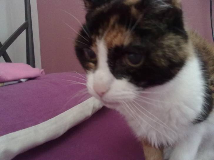 Poppie - (19 ans)