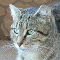 Douce - (2 ans)