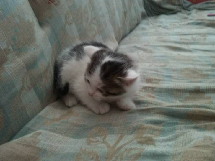 louna - (1 mois)