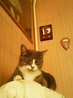 Mimi - (4 ans)