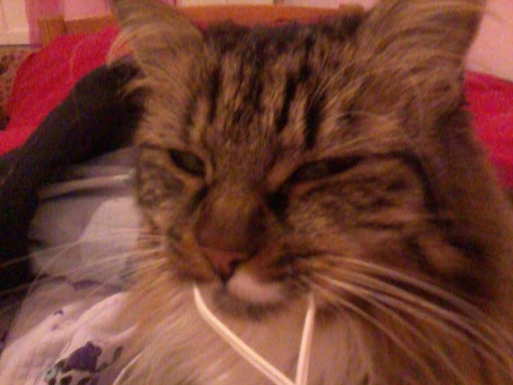 princesse - (6 ans)