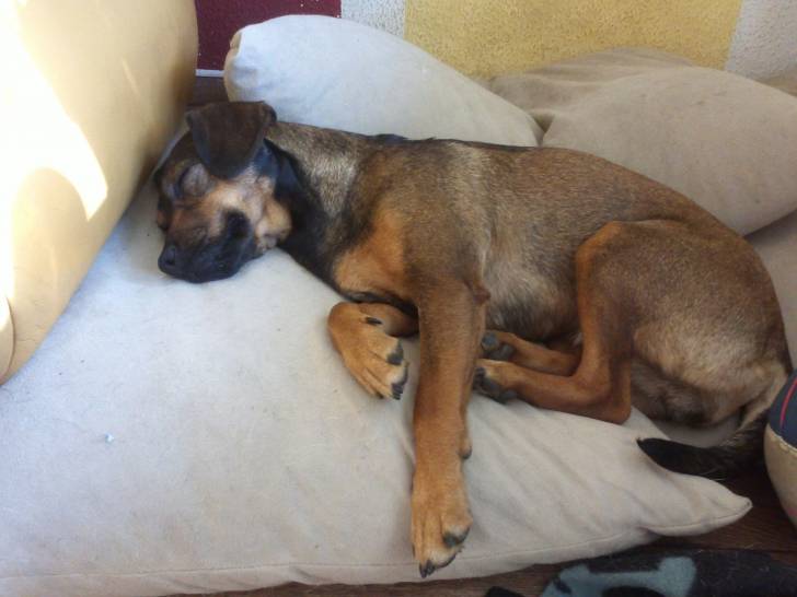 Lieblings-Liegeplatz - (3 ans)