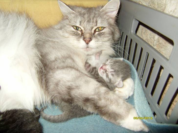 qui-gon et suzie - (1 mois)