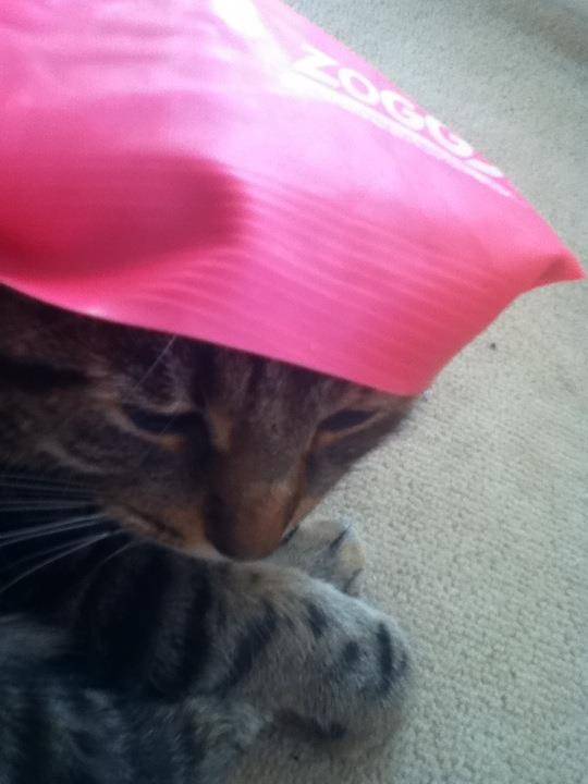 Jinx - (6 ans)