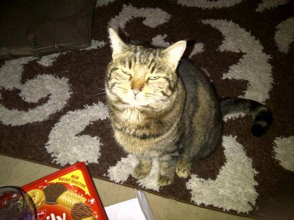 Jinx - (6 ans)