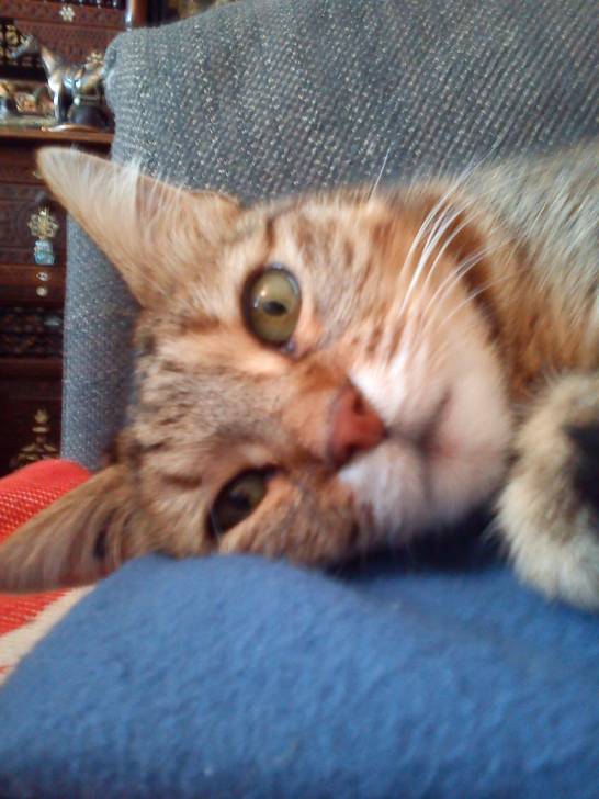 Dora - (13 ans)