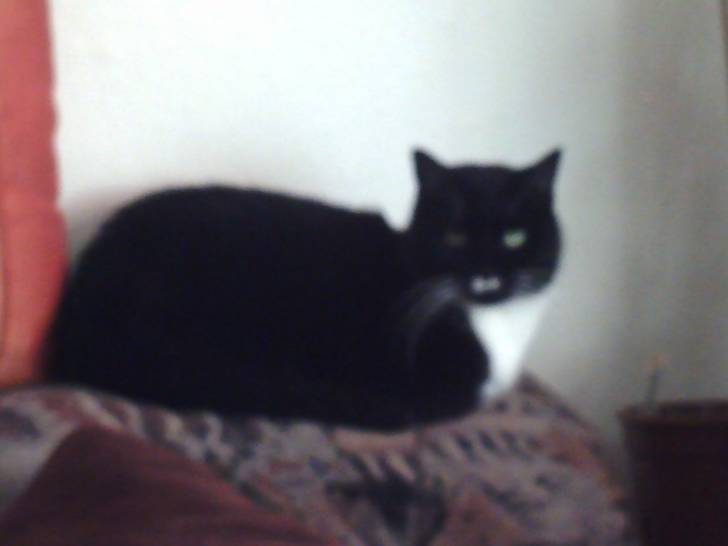 Micke - (7 ans)