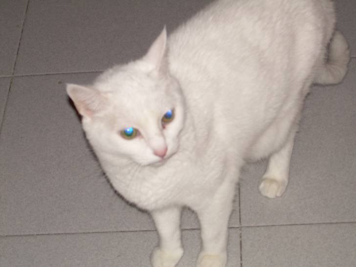 Ariel - (15 ans)