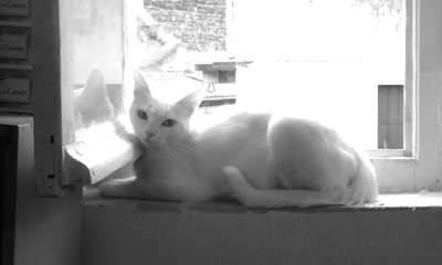 mimi - (2 ans)