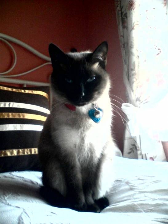Luna - (3 mois)