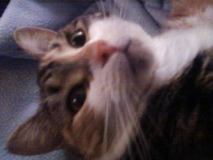 Jenny - (3 ans)