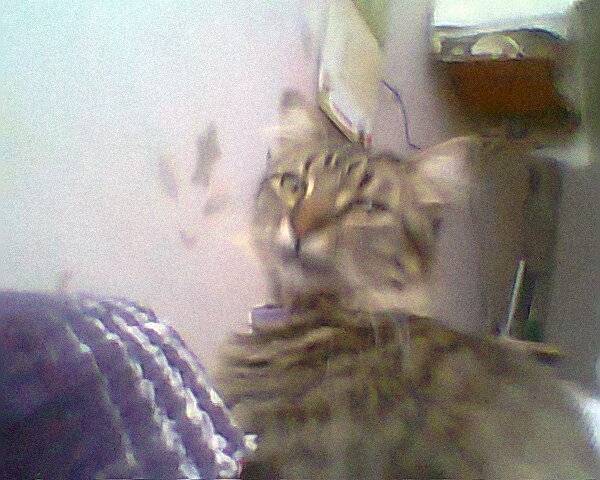 Cari - (2 ans)