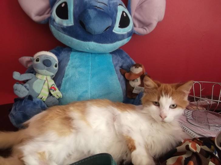 Tigger -